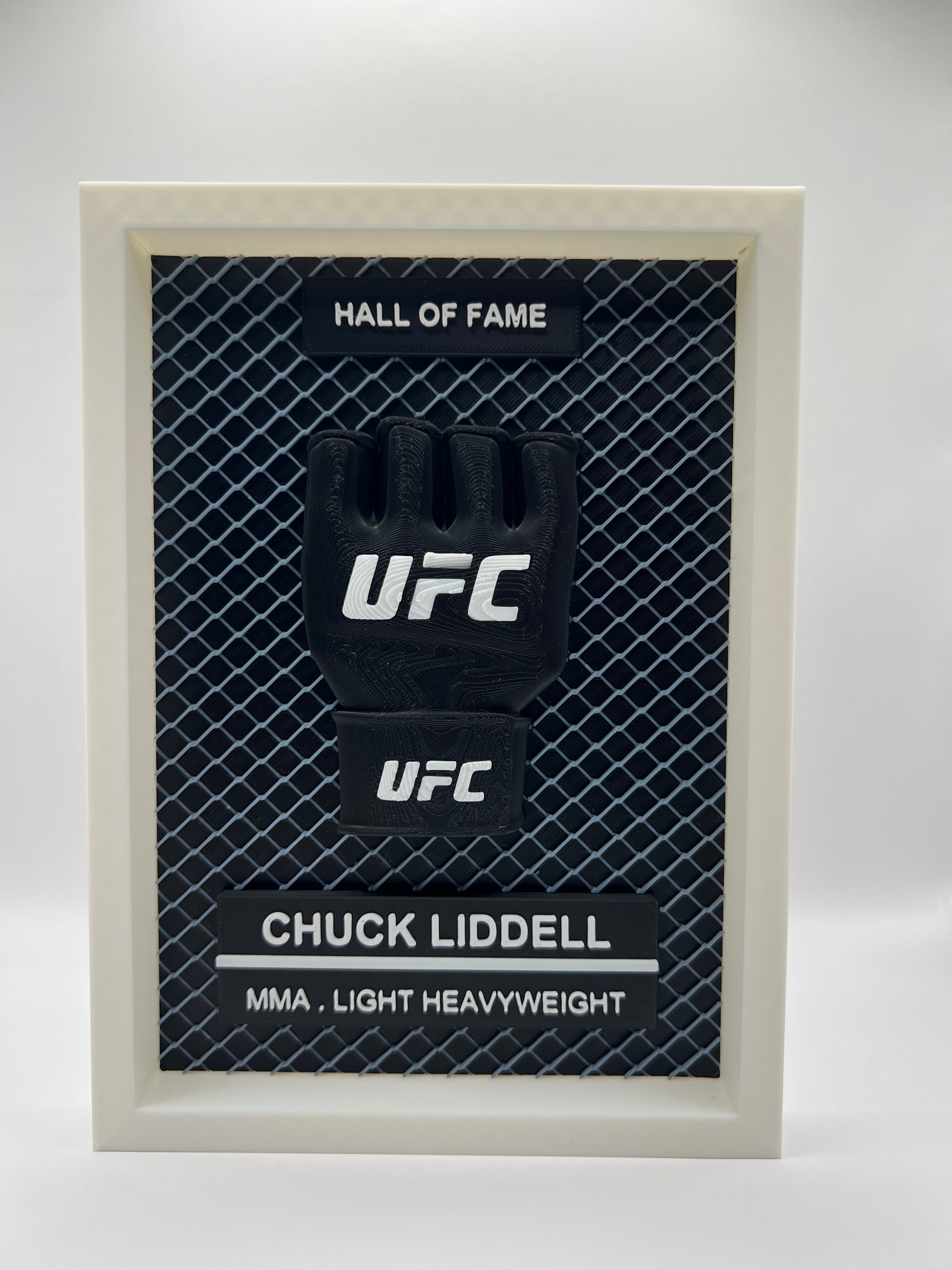 Custom MMA Frame - Personalized 3D Printed Fight Fan Display | MMA Gift | Gym Room Decor | NZ Made